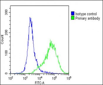 PRRT2 Antibody (Center)