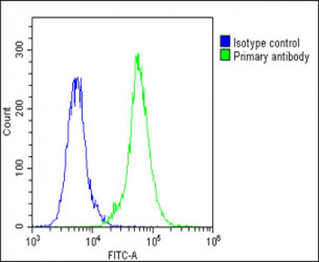 LOXL4 Antibody (C-term)