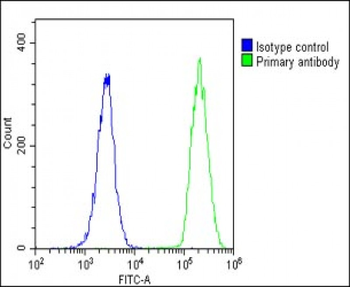ND4L Antibody (C-term)