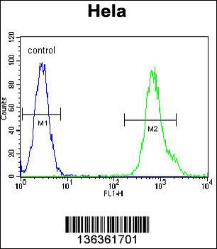 MYH9 Antibody (N-term Y158)