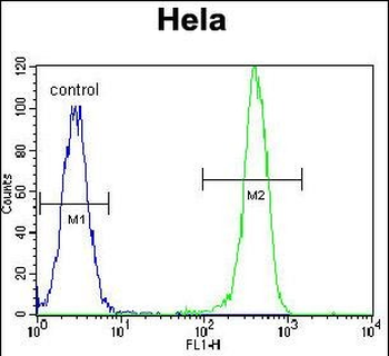 EPOR Antibody (Center)