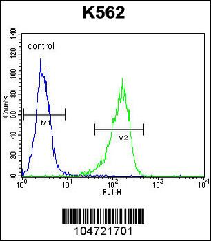 Metabotropic Glutamate Receptor 6 (GPRC1F) Antibody (C-term)
