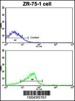 NCS1 Antibody (Center)