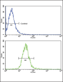 TLR6 Antibody (C-term)