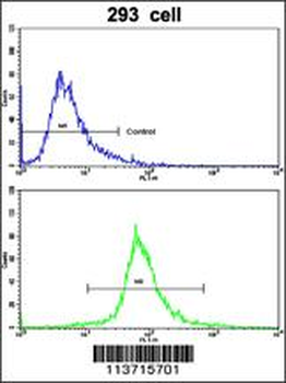 CDH2 Antibody (C-term)