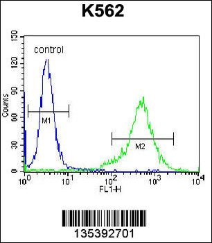 PRL Antibody (C-term)