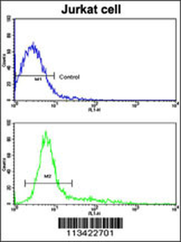 CD9 Antibody (N-term)