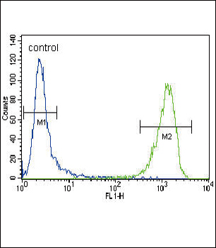 ACTA1/Alpha-actin Antibody (C-term)