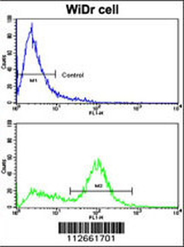 Latexin Antibody (Center)