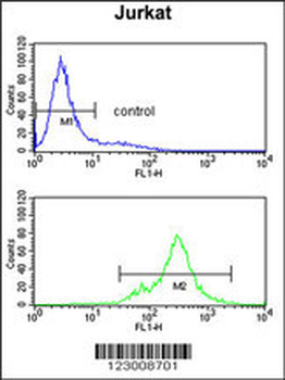 SPRED1 Antibody