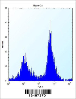 Mouse Raf1 Antibody (N-term)