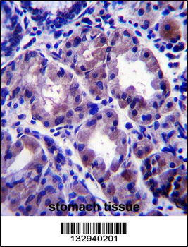 APOOL Antibody (C-term)
