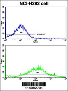 K Cadherin (CDH6) Antibody (C-term)