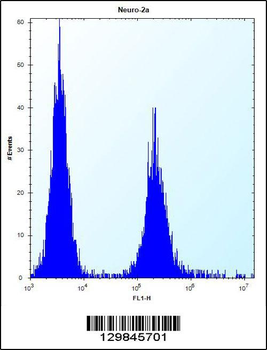 EFCB7 Antibody (C-term)