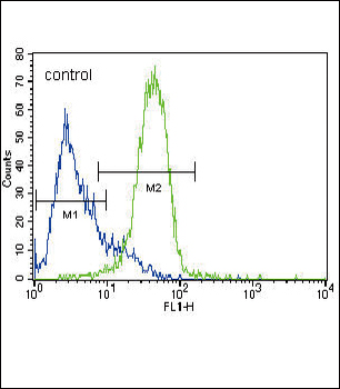 GATA4 Antibody (C-term)