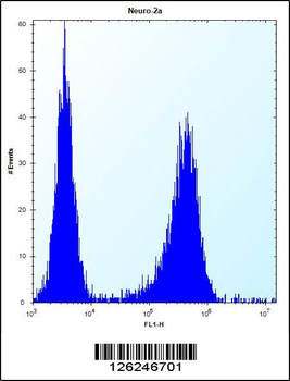 LYPL1 Antibody (Center)