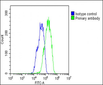 ASPG Antibody (Center)