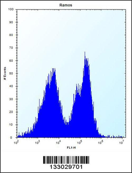 PCDHGA3 Antibody (Center)