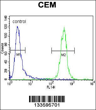 TNF Antibody (C-term)