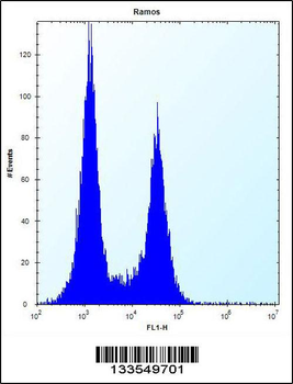 UBN2 Antibody (N-term)
