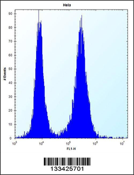 PHF5A Antibody (C-term)