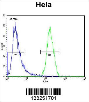 TRIM38 Antibody (C-term)