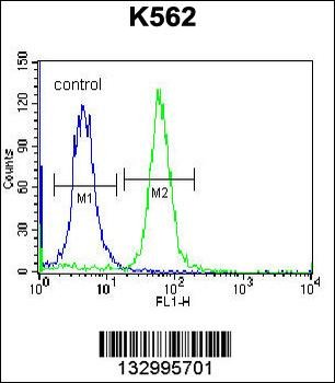 RAB3D Antibody (C-term)