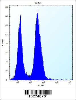 SSR2 Antibody (C-term)