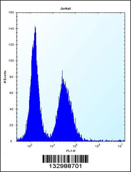DDIT3 Antibody (Center)