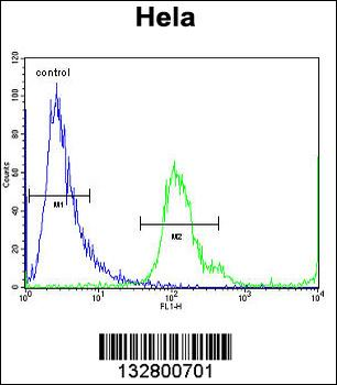 MBNL2 Antibody (C-term)