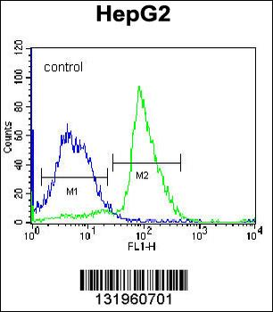 PON2 Antibody (N-term)