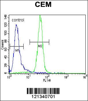 PPARA Antibody (Center)