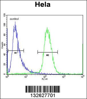 SCHIP1 Antibody (Center)