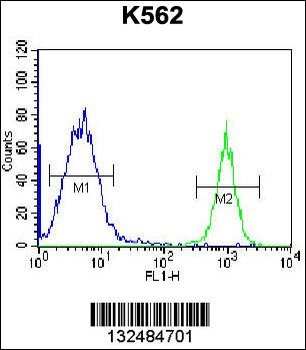 PTMS Antibody (C-term)