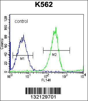 RPS4Y1 Antibody (Center)
