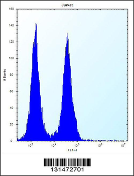 FA8A1 Antibody (N-term)