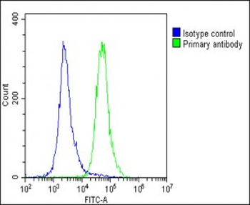 CD276 Antibody (C-term)