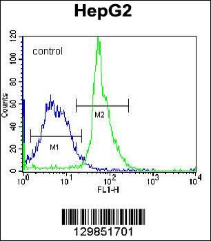 KRTAP1-3 Antibody (Center)