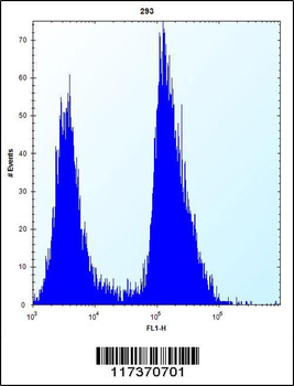 TRIP13 Antibody (C-term)