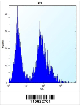 CDKN2B Antibody (C-term)