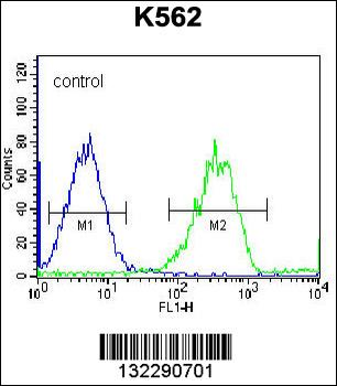 F105A Antibody (Center)