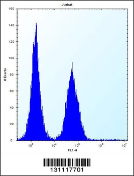 ABI2 Antibody (N-term)