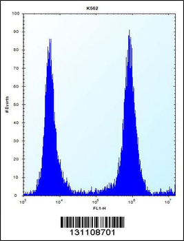 MCF2 Antibody (C-term)