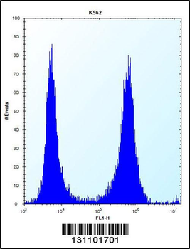 FCN3 Antibody (C-term)