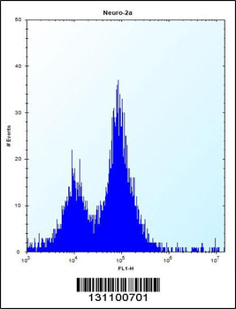 PEX14 Antibody (Center)