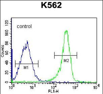 LRRD1 Antibody (C-term)