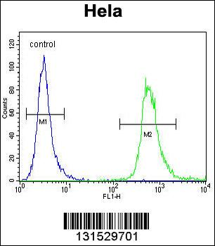 WDR3 Antibody (N-term)