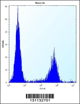 MAN2A2 Antibody (Center)