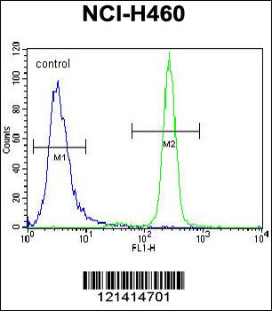 IL6 Antibody (Center)