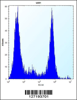 VPS37B Antibody (Center)